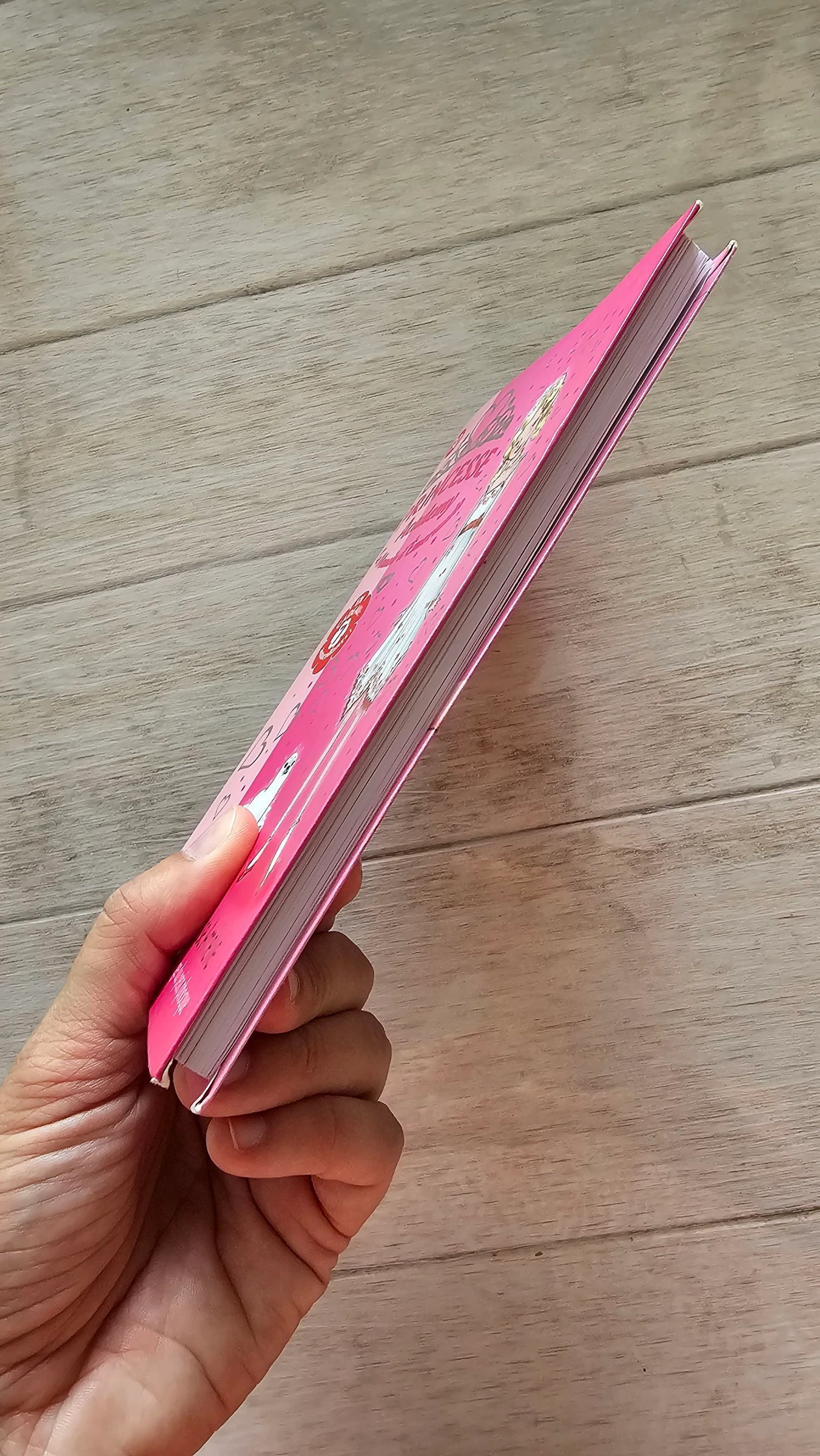 Tome 30 _ princesa acadamy – photo 4